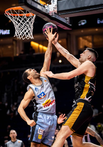 外形与兔子 外形与兔子