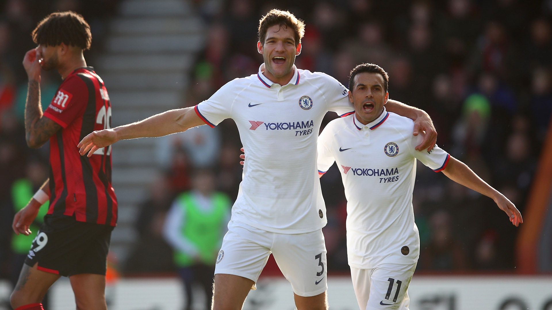 离不开他多 离不开他多